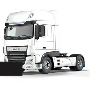 Farba v spreji DAF 1902781 BEETS GROEP ZWART