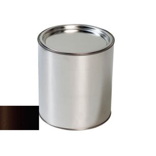 Farba na auto pre Toyota 4X9 BRACKISH BROWN pištoľ