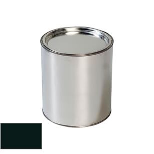 Land Rover HUX Brooklands zelená pištoľ na autolak