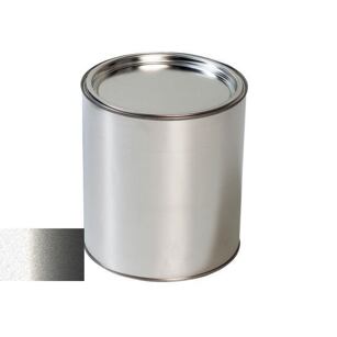 Pištoľ na maľovanie automobilov Ford 6PPCWWA ARGENTO MET