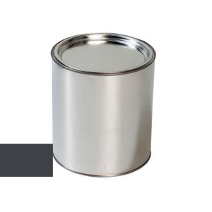 Farba na pištoľ KIA CG C-GRAY