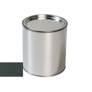 Farba na pištoľ KIA CGE Cityscape Green