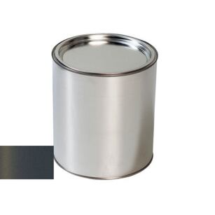 Pištoľ na autolak Toyota 1M2 Ash Metallic