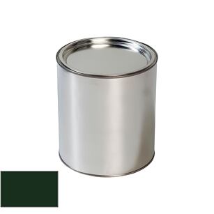 Pištoľ na maľovanie automobilov Porsche GB0 British Racing Green