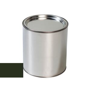 Autolak do pistole Ford FMS BOTTLE GREEN