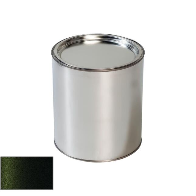 Farba na auto pre Porsche 24H Pinien Gruen gun