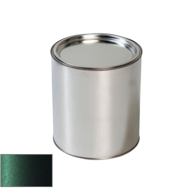 Pištoľ na maľovanie automobilov Daewoo 49L Moss Green