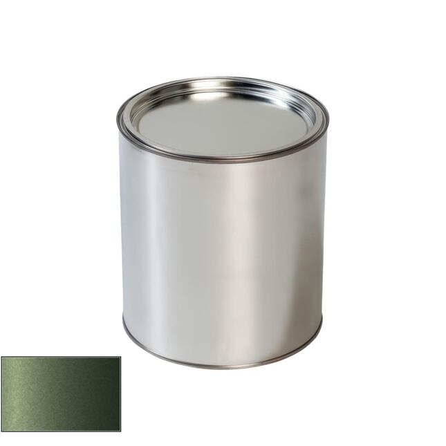 Pištoľ na farby na auto Mini WC15 Jungle Green