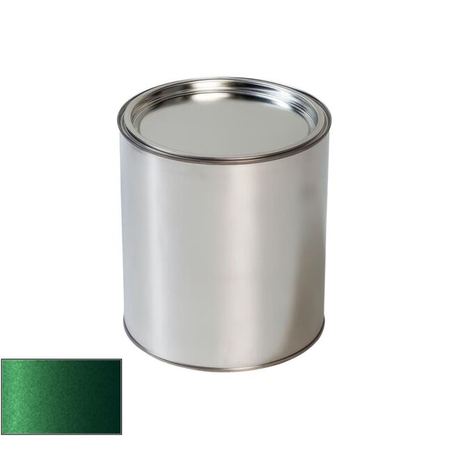 Pištoľ na maľovanie automobilov Mini WC3B British Racing Green Iv