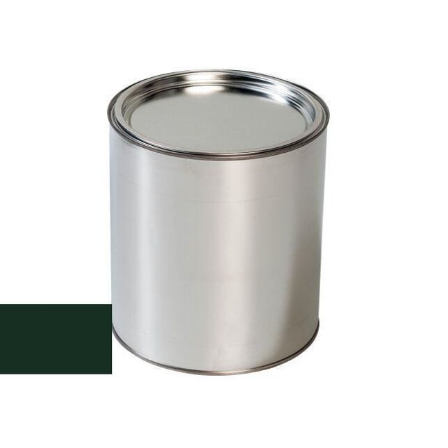 Farba na auto pre Renault C96 VERT gun