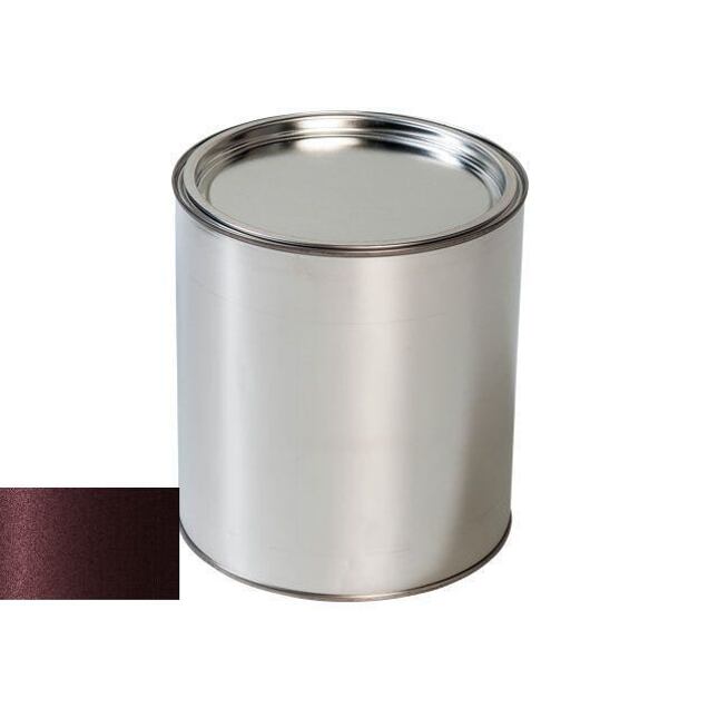 Chrysler DT3517 DIRECTOR RED Pištoľ na autolak