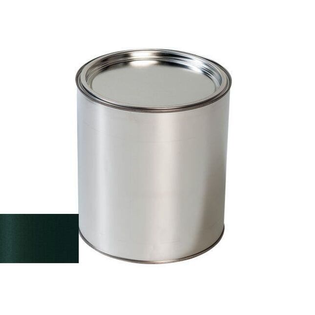 Autolak do pistole Audi LZ6T POMEROLGRUEN