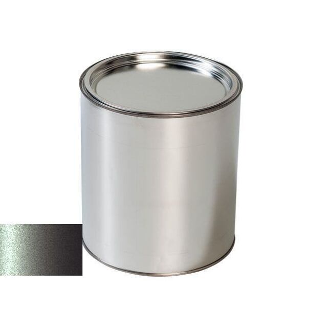 Farba na auto Renault 603 Gris ologramme gun