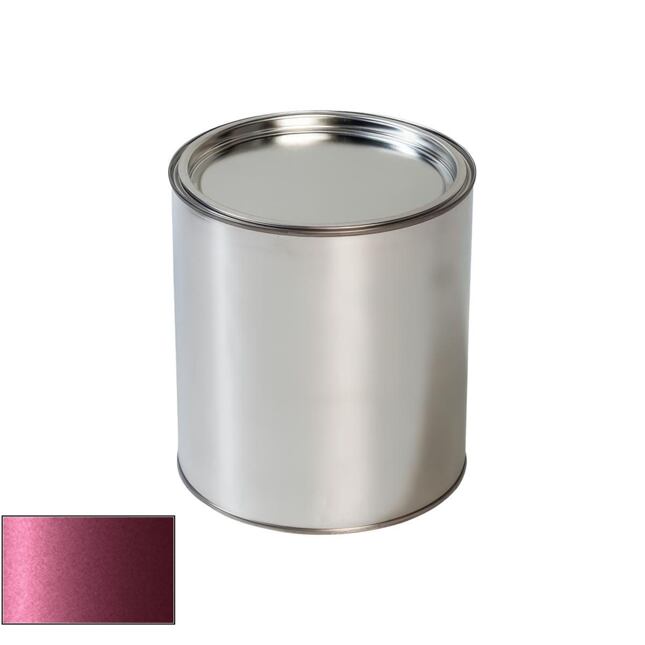 Pištoľ na fialové farby na autá Daewoo CP1 City