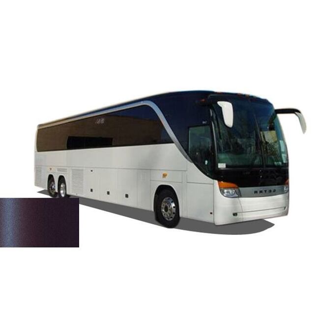 Farba na auto v spreji Setra BUS EM 44000 VIOLETT