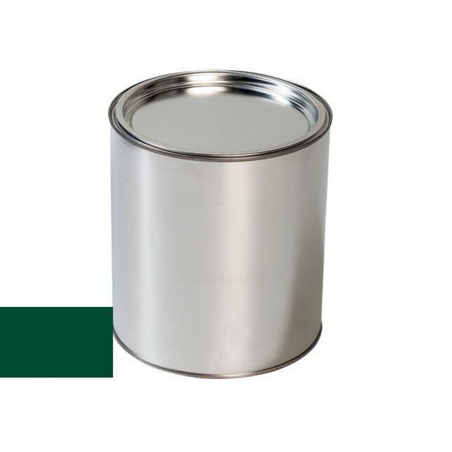 Pištoľ na autolak Nissan 406 GREEN