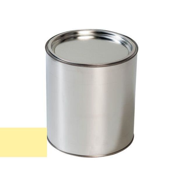 Nissan EGO LIGHT YELLOW farba na pištole