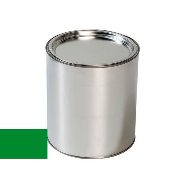 Autolak do pistole Ford PTT PANTONE GREEN