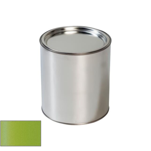 Pištoľ na maľovanie áut MG AG Apple Green