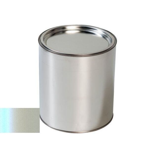 Pištoľ na autolak Renault QND Givre