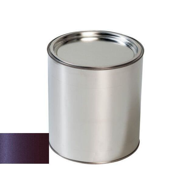 Farba na auto pre Seat C4U VIOLETA TOUCH pištoľ