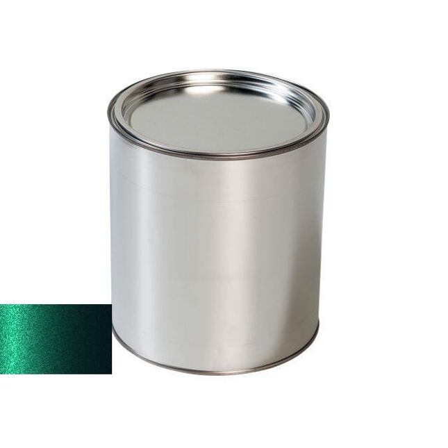 Pištoľ na autofarbivá Ford PE8EWHA AMAZON GREEN MET