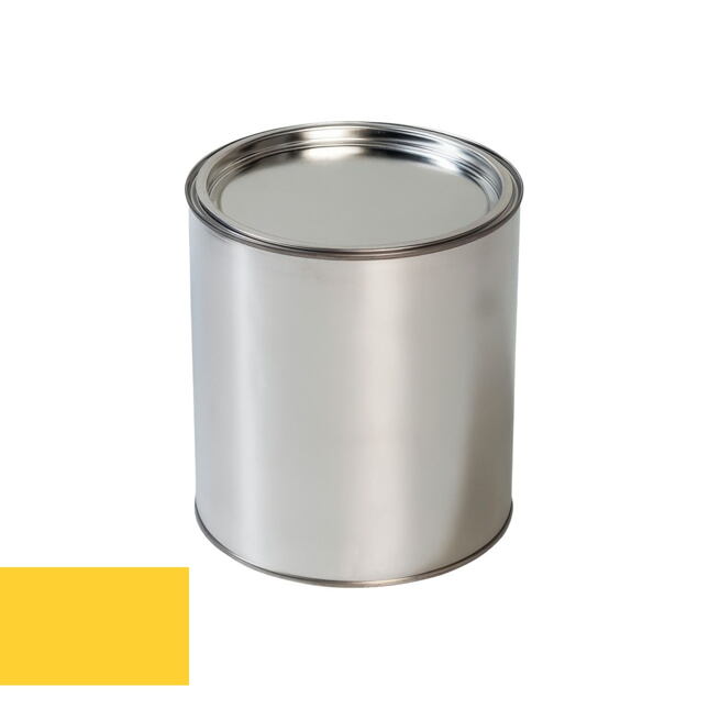 Pištoľ na farbu na autá Ford ZINCYELLOW ZINC YELLOW