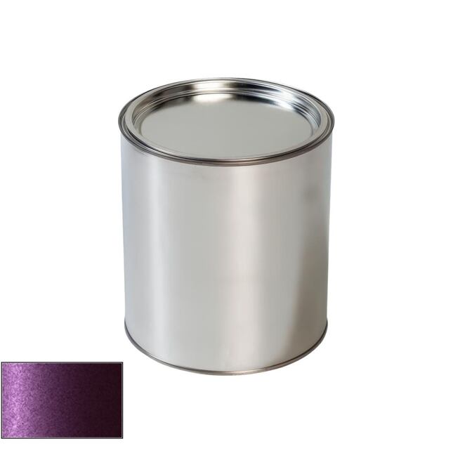 Pištoľ na autolak Mini SVO Aubergine/purple