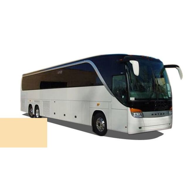 Setra BUS EA 19391 INGWERBEIGE