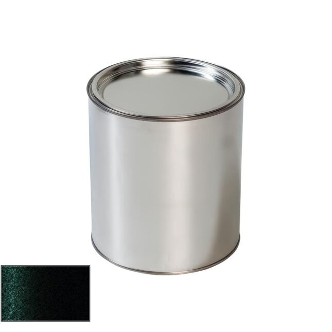 Land Rover PVY Borneo Black Pištoľ na autolak