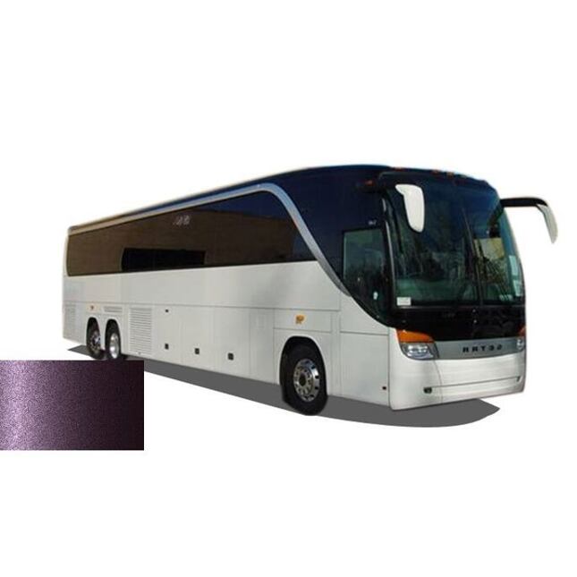 Farba na auto v spreji Setra BUS EVO 2627 AUBERGINE