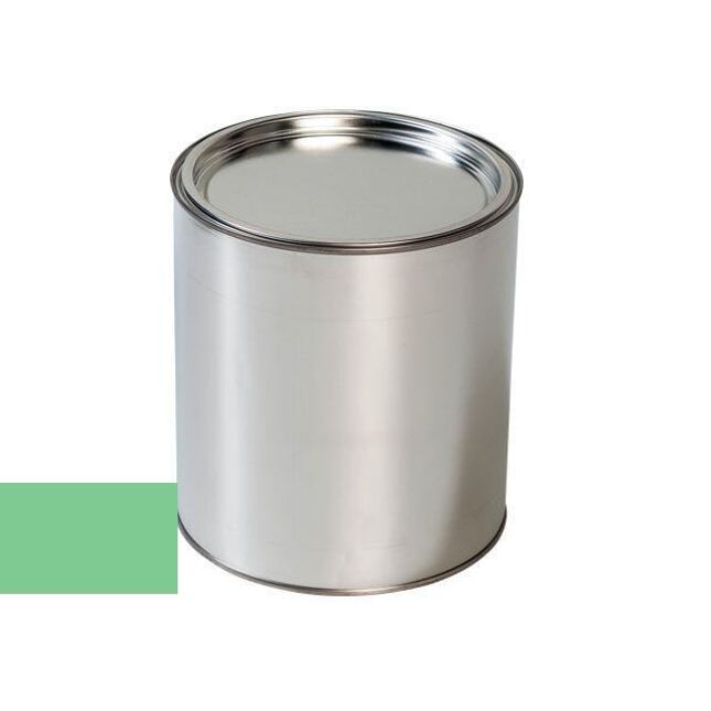 Opel 305ZZ PASTELLGRUEN/PASTEL GREEN autolakovacia pištoľ