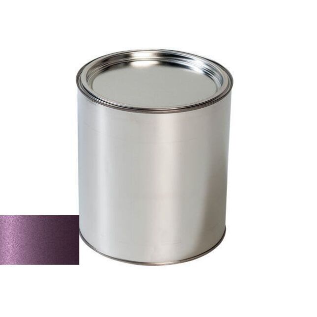 Pištoľ na autolak Peugeot KPH Plum