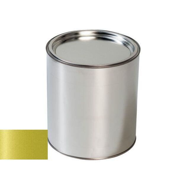 Pištoľ na maľovanie automobilov Toyota 6W2 CITRUS