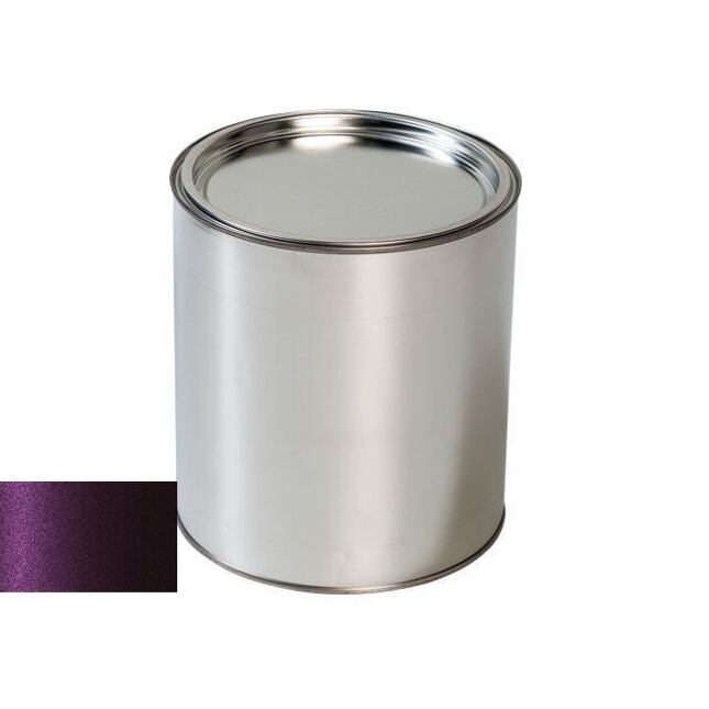 Chrysler VCD BLACK-EYE Pištoľ na maľovanie automobilov