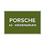 Farba na auto pre Porsche 43 Weidengruen gun