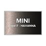 Farba v spreji Mini WA17 Havanna
